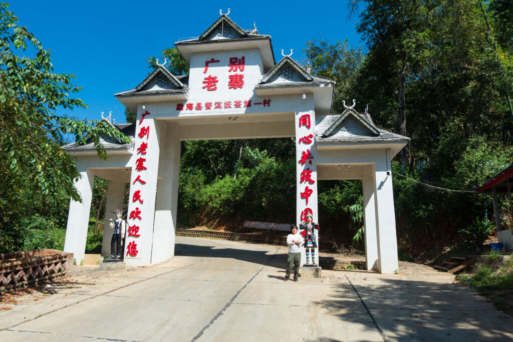 哈尼古茶 布朗山 雲南省 プーアル茶「広別老寨」純料生态古樹茶 哈尼古茶 布朗山 雲南省 プーアル茶「広別老寨」純料生态